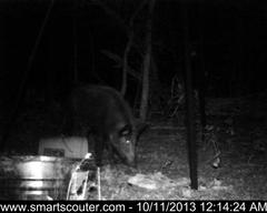 BedandBreakfast-NewFeeder_10112013_5813393.jpg